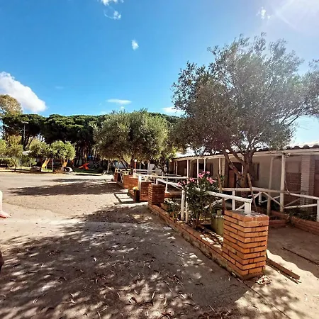 Campeggio Cammello Grigio