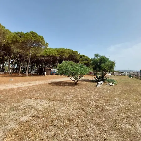 Cammello Grigio 캠프장