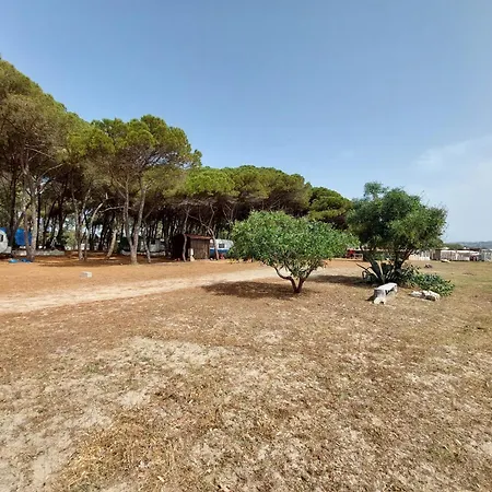 Campeggio Cammello Grigio